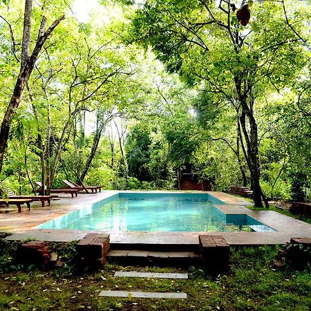 Mahagedara Wellness Retreat Hotel Avudangawa Exterior foto