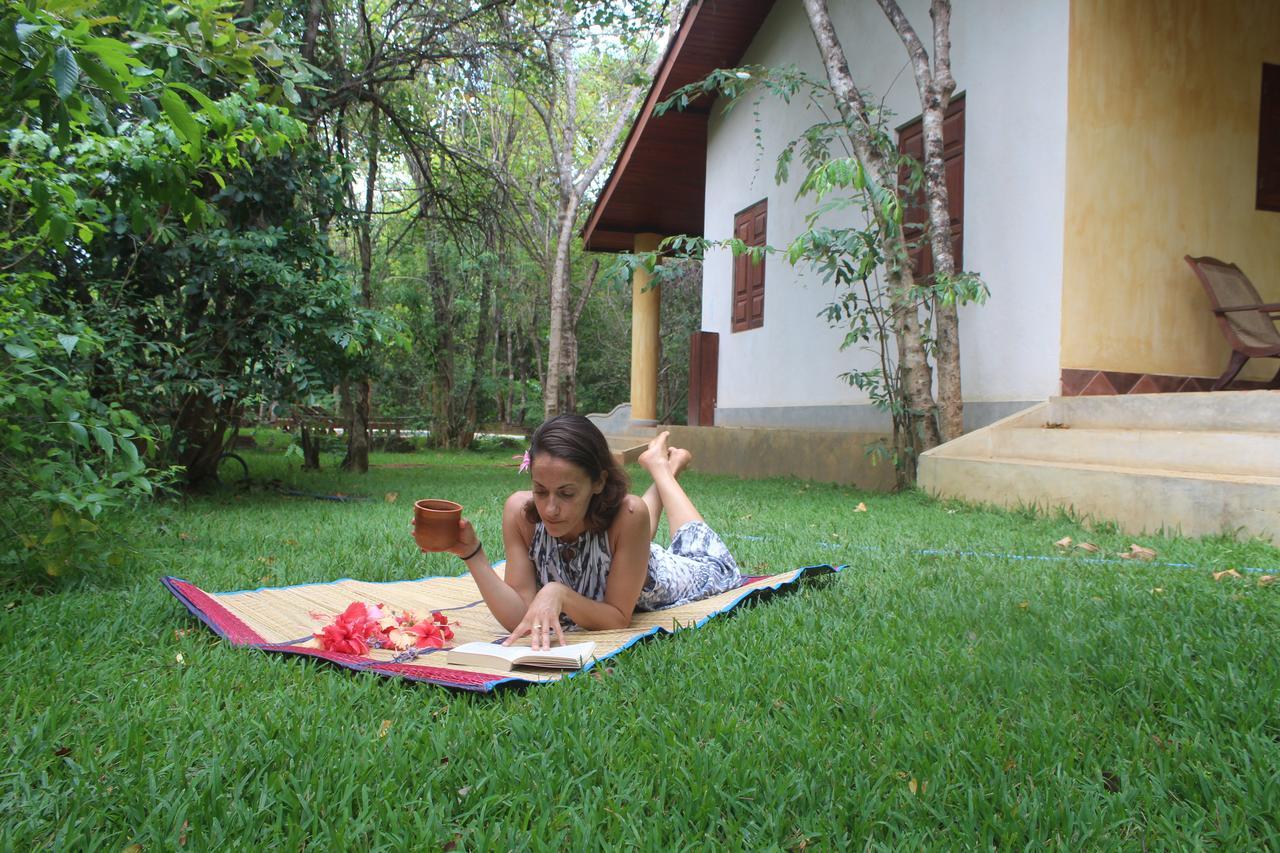 Mahagedara Wellness Retreat Hotel Avudangawa Exterior foto